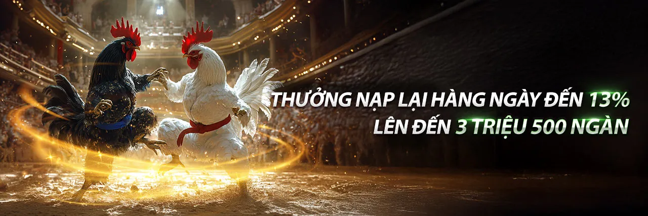 Sân vận động sôi động với người hâm mộ và các biểu tượng cá cược thể thao tại lc888